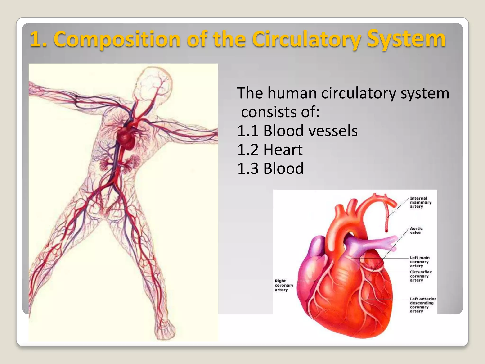 1. Composition of the Circulatory System
The human circulatory system
consists of:
1.1 Blood vessels
1.2 Heart
1.3 Blood

 
