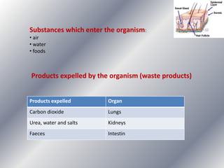 Substances which enter the organism:
• air
• water
• foods

Products expelled by the organism (waste products)
Products expelled

Organ

Carbon dioxide

Lungs

Urea, water and salts

Kidneys

Faeces

Intestin

 