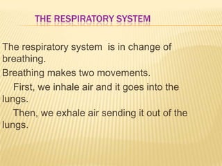 THE RESPIRATORY SYSTEM
The respiratory system is in change of
breathing.
Breathing makes two movements.
First, we inhale air and it goes into the
lungs.
Then, we exhale air sending it out of the
lungs.
 