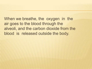 When we breathe, the oxygen in the
air goes to the blood through the
alveoli, and the carbon dioxide from the
blood is released outside the body.
 