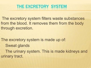 THE EXCRETORY SYSTEM
The excretory system filters waste substances
from the blood. It removes them from the body
through excretion.
The excretory system is made up of:
Sweat glands
The urinary system. This is made kidneys and
urinary tract.
 