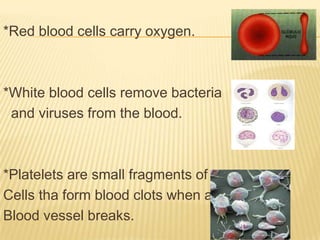 *Red blood cells carry oxygen.
*White blood cells remove bacteria
and viruses from the blood.
*Platelets are small fragments of
Cells tha form blood clots when a
Blood vessel breaks.
 