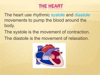 THE HEART
The heart use rhythmic systole and diastole
movements to pump the blood around the
body.
The systole is the movement of contraction.
The diastole is the movement of relaxation.
 
