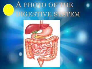 A PHOTO OF THE
DIGESTIVE SYSTEM
 