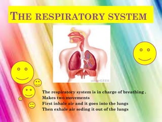 THE RESPIRATORY SYSTEM
The respiratory system is in charge of breathing .
Makes two movements
First inhale air and it goes into the lungs
Then exhale air seding it out of the lungs
 