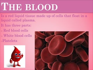 THE BLOOD
Is a red liquid tissue made up of cells that float in a
liquid called plasma.
It has three parts:
o Red blood cells
o White blood cells
oPlatelets
 