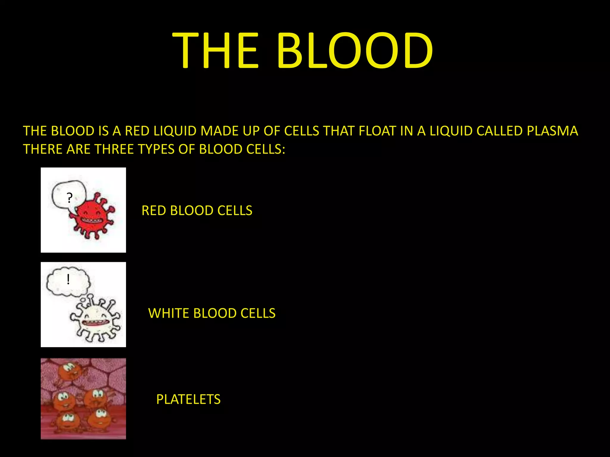 THE BLOOD
THE BLOOD IS A RED LIQUID MADE UP OF CELLS THAT FLOAT IN A LIQUID CALLED PLASMA
THERE ARE THREE TYPES OF BLOOD CELLS:
RED BLOOD CELLS
?
!
WHITE BLOOD CELLS
PLATELETS
 