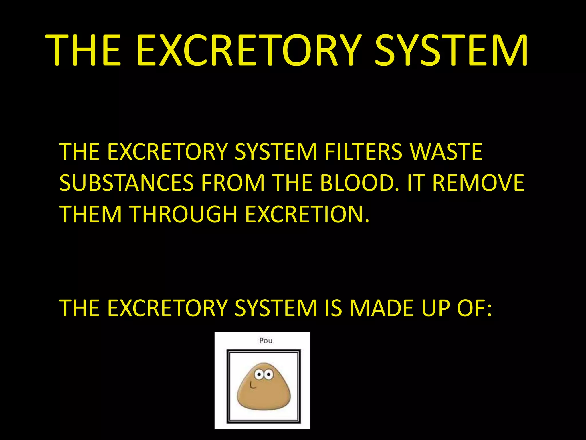 THE EXCRETORY SYSTEM
THE EXCRETORY SYSTEM FILTERS WASTE
SUBSTANCES FROM THE BLOOD. IT REMOVE
THEM THROUGH EXCRETION.
THE EXCRETORY SYSTEM IS MADE UP OF:
 