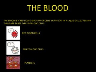 THE BLOOD
THE BLOOD IS A RED LIQUID MADE UP OF CELLS THAT FLOAT IN A LIQUID CALLED PLASMA
THERE ARE THREE TYPES OF BLOOD CELLS:
RED BLOOD CELLS
?
!
WHITE BLOOD CELLS
PLATELETS
 