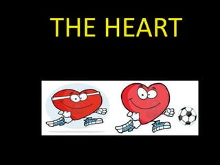 THE HEART
 