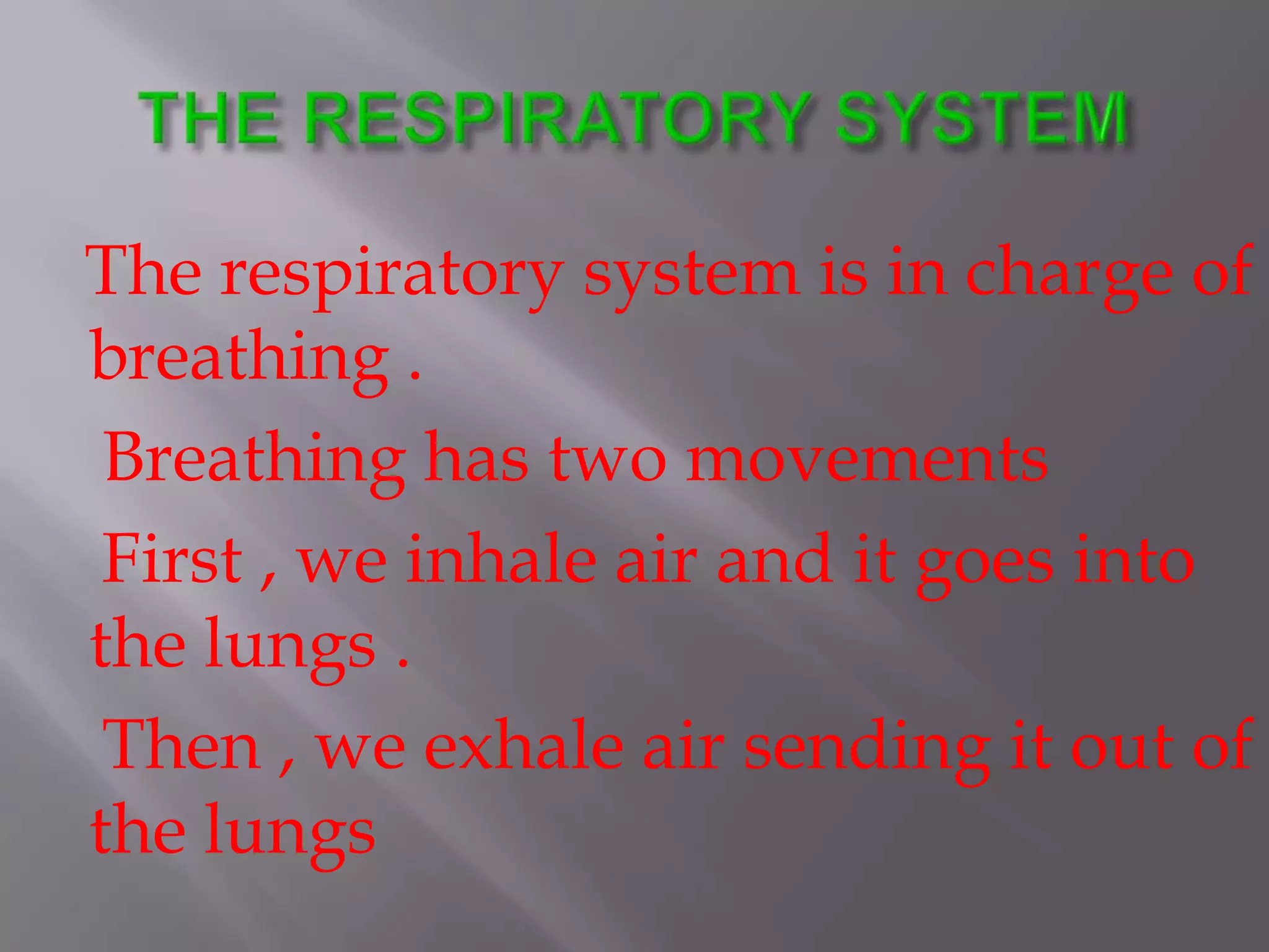 The respiratory system is in charge of
breathing .
Breathing has two movements
First , we inhale air and it goes into
the lungs .
Then , we exhale air sending it out of
the lungs
 