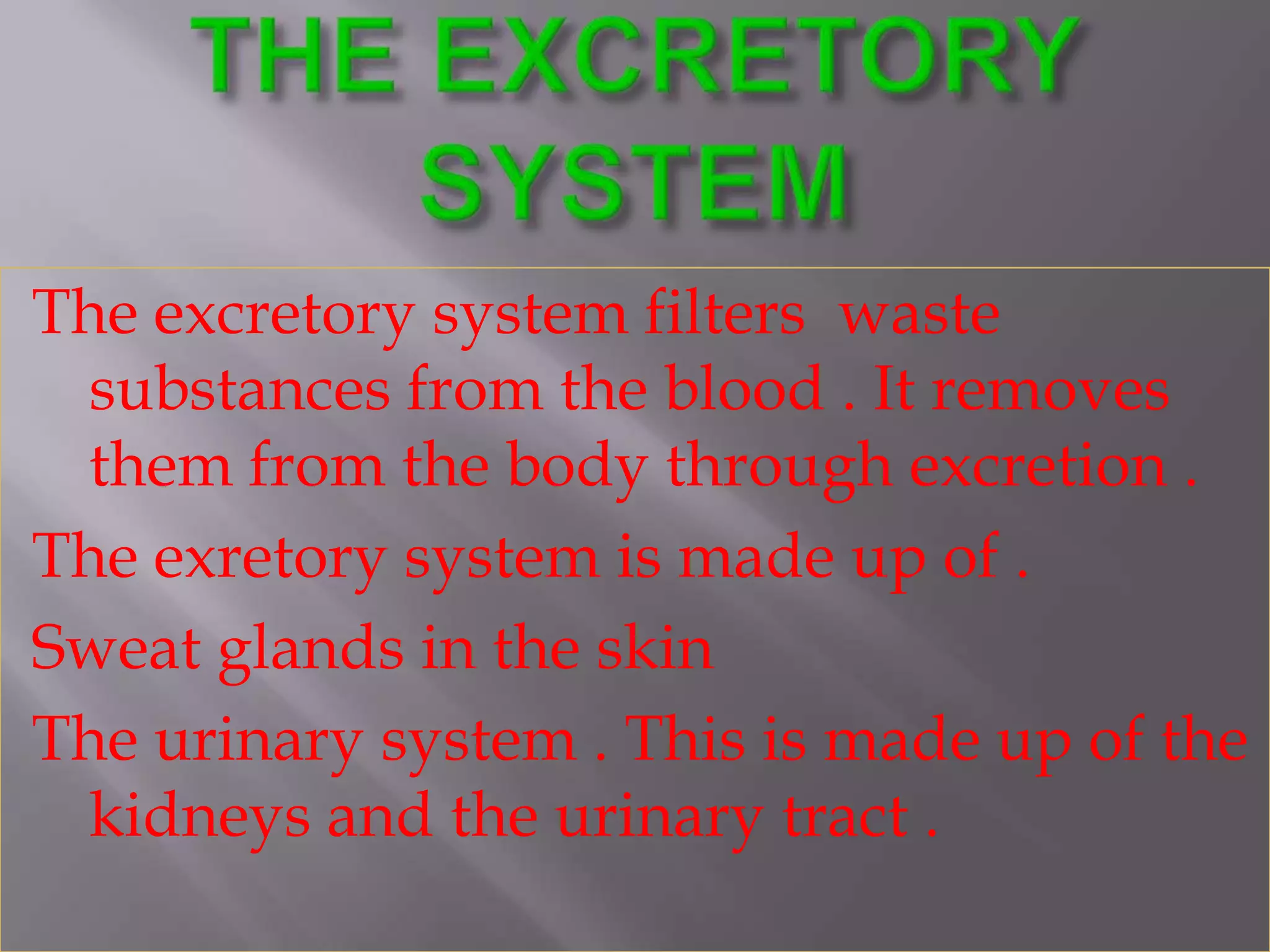 The excretory system filters waste
substances from the blood . It removes
them from the body through excretion .
The exretory system is made up of .
Sweat glands in the skin
The urinary system . This is made up of the
kidneys and the urinary tract .
 