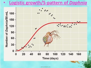 • Logistic growth/S-pattern of Daphnia
 