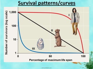 Survival patterns/curves
 