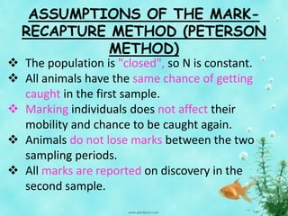 ASSUMPTIONS OF THE MARK-
RECAPTURE METHOD (PETERSON
METHOD)
 The population is "closed", so N is constant.
 All animals have the same chance of getting
caught in the first sample.
 Marking individuals does not affect their
mobility and chance to be caught again.
 Animals do not lose marks between the two
sampling periods.
 All marks are reported on discovery in the
second sample.
 