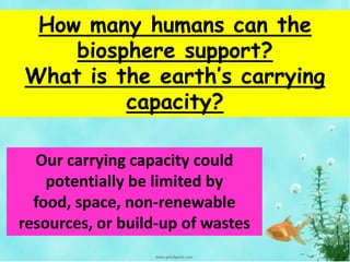 How many humans can the
biosphere support?
What is the earth’s carrying
capacity?
Our carrying capacity could
potentially be limited by
food, space, non-renewable
resources, or build-up of wastes
 