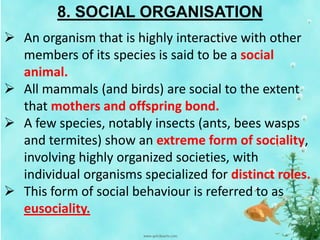8. SOCIAL ORGANISATION
 An organism that is highly interactive with other
members of its species is said to be a social
animal.
 All mammals (and birds) are social to the extent
that mothers and offspring bond.
 A few species, notably insects (ants, bees wasps
and termites) show an extreme form of sociality,
involving highly organized societies, with
individual organisms specialized for distinct roles.
 This form of social behaviour is referred to as
eusociality.
 