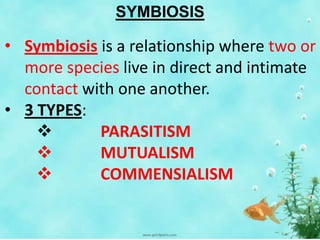 SYMBIOSIS
• Symbiosis is a relationship where two or
more species live in direct and intimate
contact with one another.
• 3 TYPES:
 PARASITISM
 MUTUALISM
 COMMENSIALISM
 