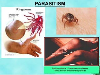 PARASITISM
 