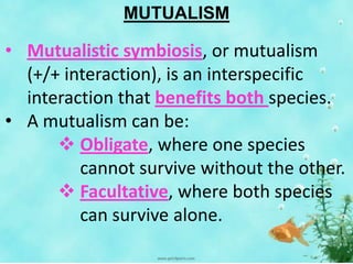 MUTUALISM
• Mutualistic symbiosis, or mutualism
(+/+ interaction), is an interspecific
interaction that benefits both species.
• A mutualism can be:
 Obligate, where one species
cannot survive without the other.
 Facultative, where both species
can survive alone.
 