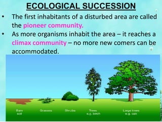 ECOLOGICAL SUCCESSION
• The first inhabitants of a disturbed area are called
the pioneer community.
• As more organisms inhabit the area – it reaches a
climax community – no more new comers can be
accommodated.
 