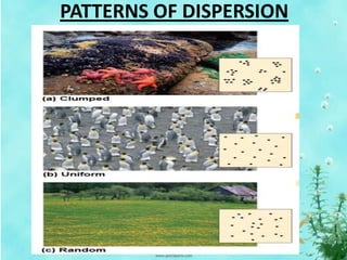 PATTERNS OF DISPERSION
 