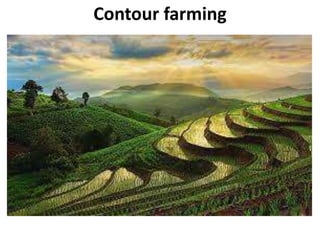 Contour farming
 