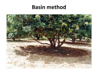 Basin method
 