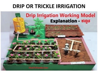 DRIP OR TRICKLE IRRIGATION
 