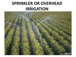 SPRINKLER OR OVERHEAD
IRRIGATION
 
