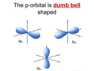 The p-orbital is  dumb bell  shaped 