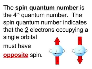The  spin quantum number  is the 4 th  quantum number.  The spin quantum number indicates that the  2  electrons occupying a single orbital  must have  opposite  spin. 