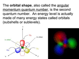 The  orbital shape , also called the  angular momentum quantum number , is the second quantum number.  An energy level is actually made of many energy states called orbitals (subshells or sublevels).  