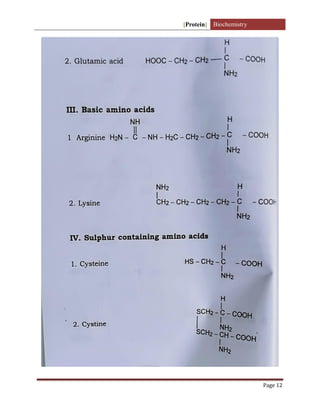 [Protein] Biochemistry
Page 12
 