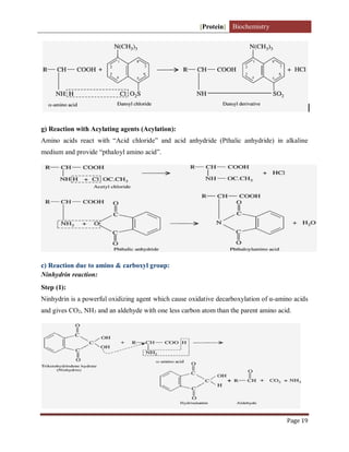 [Protein] Biochemistry
Page 19
g) Reaction with Acylating agents (Acylation):
Amino acids react with “Acid chloride” and acid anhydride (Pthalic anhydride) in alkaline
medium and provide “pthaloyl amino acid”.
c) Reaction due to amino & carboxyl group:
Ninhydrin reaction:
Step (1):
Ninhydrin is a powerful oxidizing agent which cause oxidative decarboxylation of α-amino acids
and gives CO2, NH3 and an aldehyde with one less carbon atom than the parent amino acid.
 