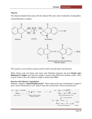 [Protein] Biochemistry
Page 20
Step (2):
The reduced ninhydrin then reacts with the released NH3 and a mole of ninhydrin, forming Blue-
colored Rhumann’s complex.
This reaction is very sensitive reaction used for amino acid and imino acid detection.
When Amino acids (or) Imino acid reacts with Ninhydrin molecule and gives Purple color
Rhumann’s Complex, the Unknown sample is Amino acids (Which have primary amine –NH2)
or gives Yellow color, the Unknown sample is Imino acid (-NH-).
Reaction with Edmann’s degradation:
Edmann’s reagent is “phenylisothiocyanate”. When amino acids react with Edmann’s reagent it
gives “phenyl thiohydantoic acid” lastly it turns into cyclized form “Phenyl thiohydantoin”.
 