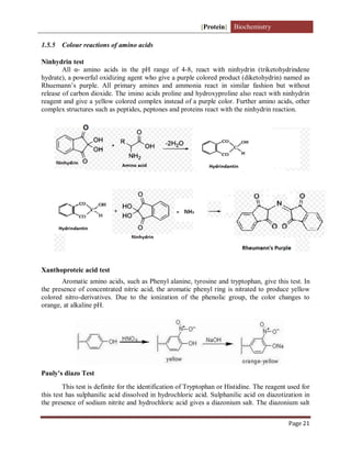 [Protein] Biochemistry
Page 21
1.5.5 Colour reactions of amino acids
Ninhydrin test
All α- amino acids in the pH range of 4-8, react with ninhydrin (triketohydrindene
hydrate), a powerful oxidizing agent who give a purple colored product (diketohydrin) named as
Rhuemann’s purple. All primary amines and ammonia react in similar fashion but without
release of carbon dioxide. The imino acids proline and hydroxyproline also react with ninhydrin
reagent and give a yellow colored complex instead of a purple color. Further amino acids, other
complex structures such as peptides, peptones and proteins react with the ninhydrin reaction.
Xanthoproteic acid test
Aromatic amino acids, such as Phenyl alanine, tyrosine and tryptophan, give this test. In
the presence of concentrated nitric acid, the aromatic phenyl ring is nitrated to produce yellow
colored nitro-derivatives. Due to the ionization of the phenolic group, the color changes to
orange, at alkaline pH.
Pauly's diazo Test
This test is definite for the identification of Tryptophan or Histidine. The reagent used for
this test has sulphanilic acid dissolved in hydrochloric acid. Sulphanilic acid on diazotization in
the presence of sodium nitrite and hydrochloric acid gives a diazonium salt. The diazonium salt
 
