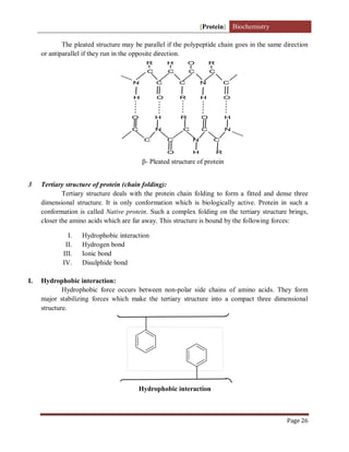 [Protein] Biochemistry
Page 26
The pleated structure may be parallel if the polypeptide chain goes in the same direction
or antiparallel if they run in the opposite direction.
C C C C
N C C N C
H O R H O
O H R O H
C N C C N
C C N C
O H R
R H O R
β- Pleated structure of protein
3 Tertiary structure of protein (chain folding):
Tertiary structure deals with the protein chain folding to form a fitted and dense three
dimensional structure. It is only conformation which is biologically active. Protein in such a
conformation is called Native protein. Such a complex folding on the tertiary structure brings,
closer the amino acids which are far away. This structure is bound by the following forces:
I. Hydrophobic interaction
II. Hydrogen bond
III. Ionic bond
IV. Disulphide bond
I. Hydrophobic interaction:
Hydrophobic force occurs between non-polar side chains of amino acids. They form
major stabilizing forces which make the tertiary structure into a compact three dimensional
structure.
Hydrophobic interaction
 