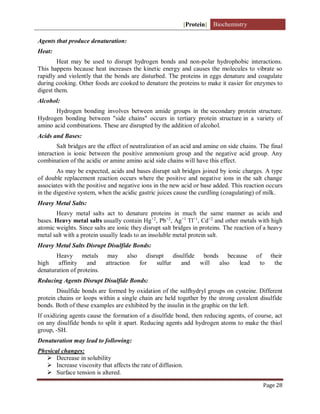 [Protein] Biochemistry
Page 28
Agents that produce denaturation:
Heat:
Heat may be used to disrupt hydrogen bonds and non-polar hydrophobic interactions.
This happens because heat increases the kinetic energy and causes the molecules to vibrate so
rapidly and violently that the bonds are disturbed. The proteins in eggs denature and coagulate
during cooking. Other foods are cooked to denature the proteins to make it easier for enzymes to
digest them.
Alcohol:
Hydrogen bonding involves between amide groups in the secondary protein structure.
Hydrogen bonding between "side chains" occurs in tertiary protein structure in a variety of
amino acid combinations. These are disrupted by the addition of alcohol.
Acids and Bases:
Salt bridges are the effect of neutralization of an acid and amine on side chains. The final
interaction is ionic between the positive ammonium group and the negative acid group. Any
combination of the acidic or amine amino acid side chains will have this effect.
As may be expected, acids and bases disrupt salt bridges joined by ionic charges. A type
of double replacement reaction occurs where the positive and negative ions in the salt change
associates with the positive and negative ions in the new acid or base added. This reaction occurs
in the digestive system, when the acidic gastric juices cause the curdling (coagulating) of milk.
Heavy Metal Salts:
Heavy metal salts act to denature proteins in much the same manner as acids and
bases. Heavy metal salts usually contain Hg+2
, Pb+2
, Ag+1
Tl+1
, Cd+2
and other metals with high
atomic weights. Since salts are ionic they disrupt salt bridges in proteins. The reaction of a heavy
metal salt with a protein usually leads to an insoluble metal protein salt.
Heavy Metal Salts Disrupt Disulfide Bonds:
Heavy metals may also disrupt disulfide bonds because of their
high affinity and attraction for sulfur and will also lead to the
denaturation of proteins.
Reducing Agents Disrupt Disulfide Bonds:
Disulfide bonds are formed by oxidation of the sulfhydryl groups on cysteine. Different
protein chains or loops within a single chain are held together by the strong covalent disulfide
bonds. Both of these examples are exhibited by the insulin in the graphic on the left.
If oxidizing agents cause the formation of a disulfide bond, then reducing agents, of course, act
on any disulfide bonds to split it apart. Reducing agents add hydrogen atoms to make the thiol
group, -SH.
Denaturation may lead to following:
Physical changes:
 Decrease in solubility
 Increase viscosity that affects the rate of diffusion.
 Surface tension is altered.
 