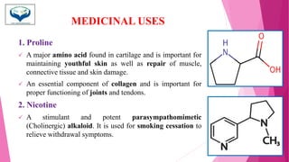 MEDICINAL USES
1. Proline
✓ A major amino acid found in cartilage and is important for
maintaining youthful skin as well as repair of muscle,
connective tissue and skin damage.
✓ An essential component of collagen and is important for
proper functioning of joints and tendons.
2. Nicotine
✓ A stimulant and potent parasympathomimetic
(Cholinergic) alkaloid. It is used for smoking cessation to
relieve withdrawal symptoms.
 