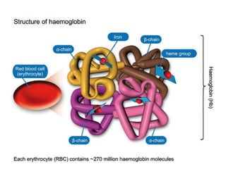 Unit 3 rbc disorders | ODP