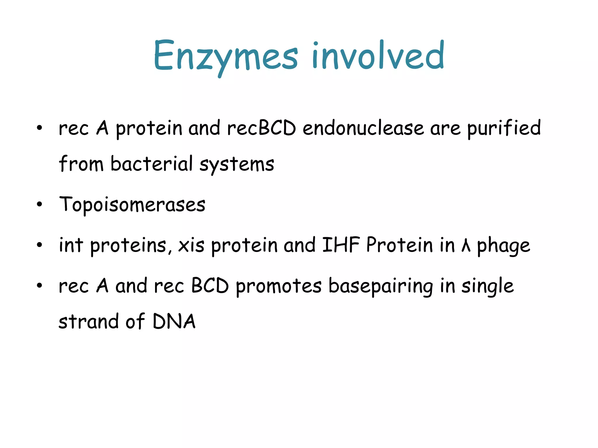 Enzymes involved
• rec A protein and recBCD endonuclease are purified
from bacterial systems
• Topoisomerases
• int proteins, xis protein and IHF Protein in λ phage
• rec A and rec BCD promotes basepairing in single
strand of DNA
 