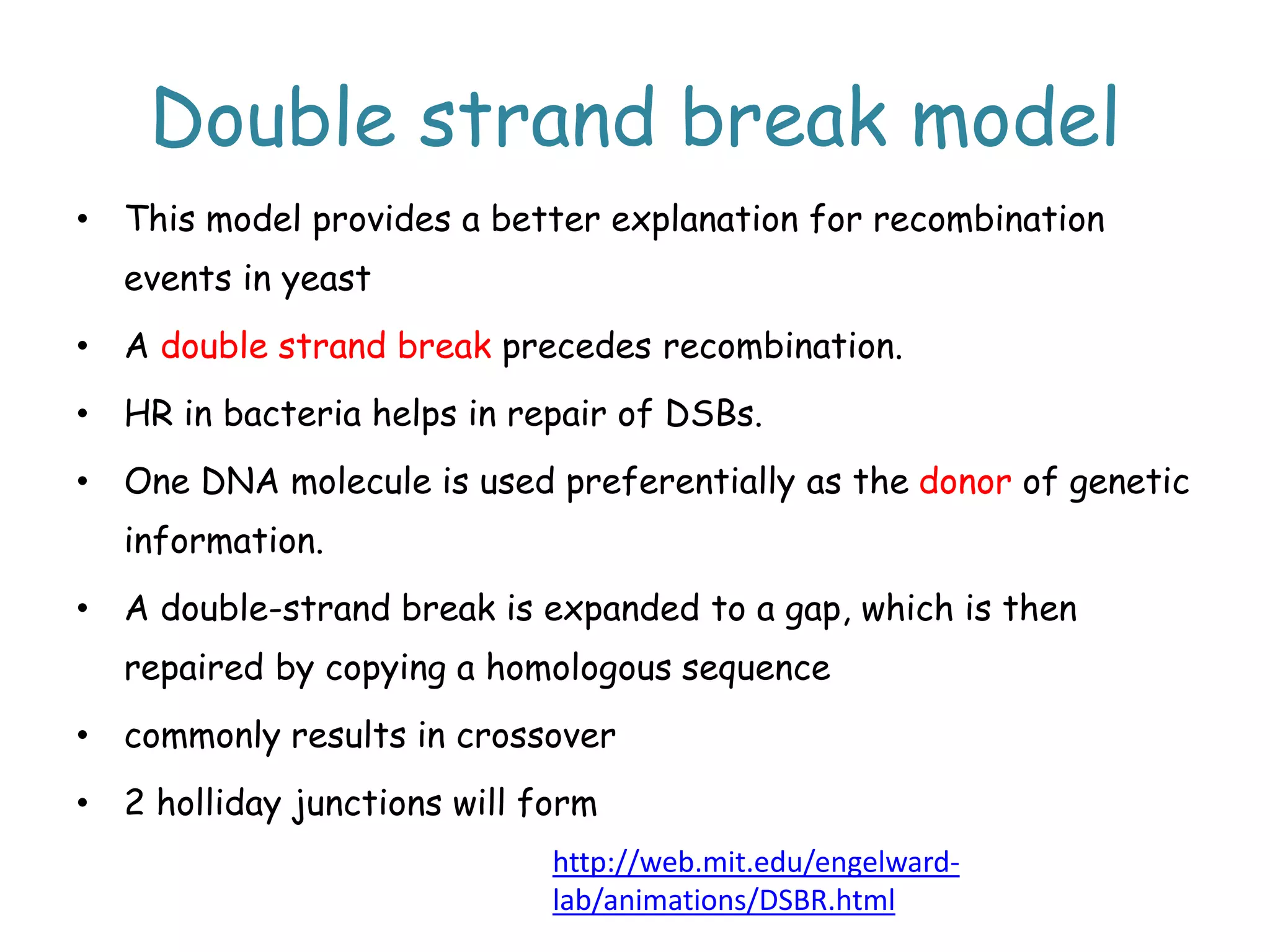 Double strand break model
• This model provides a better explanation for recombination
events in yeast
• A double strand break precedes recombination.
• HR in bacteria helps in repair of DSBs.
• One DNA molecule is used preferentially as the donor of genetic
information.
• A double-strand break is expanded to a gap, which is then
repaired by copying a homologous sequence
• commonly results in crossover
• 2 holliday junctions will form
http://web.mit.edu/engelward-
lab/animations/DSBR.html
 