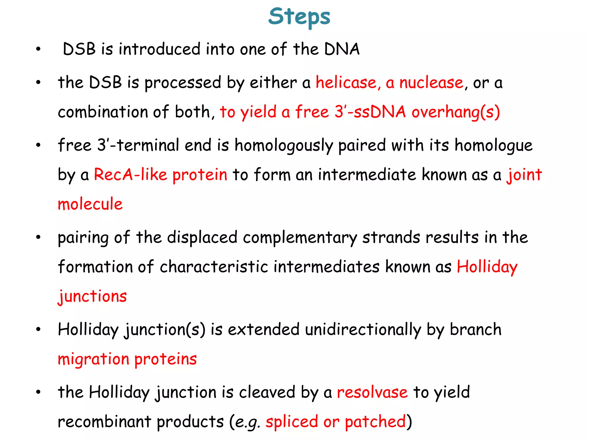 Steps
• DSB is introduced into one of the DNA
• the DSB is processed by either a helicase, a nuclease, or a
combination of both, to yield a free 3’-ssDNA overhang(s)
• free 3’-terminal end is homologously paired with its homologue
by a RecA-like protein to form an intermediate known as a joint
molecule
• pairing of the displaced complementary strands results in the
formation of characteristic intermediates known as Holliday
junctions
• Holliday junction(s) is extended unidirectionally by branch
migration proteins
• the Holliday junction is cleaved by a resolvase to yield
recombinant products (e.g. spliced or patched)
 