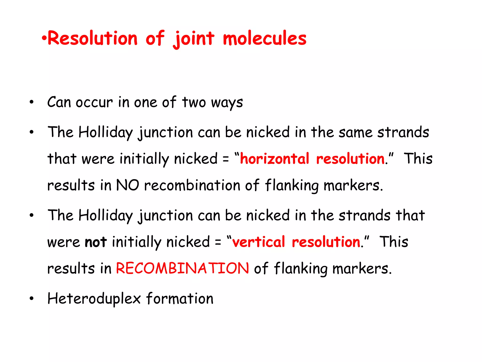 • Can occur in one of two ways
• The Holliday junction can be nicked in the same strands
that were initially nicked = “horizontal resolution.” This
results in NO recombination of flanking markers.
• The Holliday junction can be nicked in the strands that
were not initially nicked = “vertical resolution.” This
results in RECOMBINATION of flanking markers.
• Heteroduplex formation
•Resolution of joint molecules
 