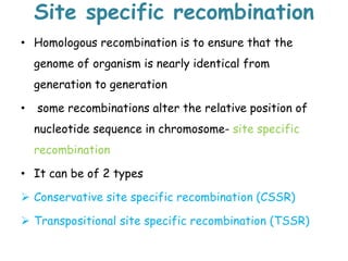 Site specific recombination
• Homologous recombination is to ensure that the
genome of organism is nearly identical from
generation to generation
• some recombinations alter the relative position of
nucleotide sequence in chromosome- site specific
recombination
• It can be of 2 types
 Conservative site specific recombination (CSSR)
 Transpositional site specific recombination (TSSR)
 