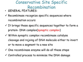 Conservative Site Specific
Recombination
• GENERAL FEATURES:
 Recombinase recognize specific sequences where
recombination occurs
 It brings these specific sequences together to form a
protein- DNA complex(synaptic complex)
 Within synaptic complex recombinase catalyse
cleavage and rejoing of DNA molecule either to invert
or to move a segment to a new site
 One recombinase enzyme will do all these steps
 Controlled process to minimise the DNA damage
 