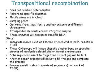 Transpositional recombination
• Does not produce heteroduplex
• Require no specific sequence
• Mobile genes are involved
• Jumping genes
• Can move from 1 position to another on same or different
chromosome
• Transposible elements encode integrase enzyme
• These enzymes will recognize specific DNA
Steps:
• Integrase makes a cut at 1 strand at each end of DNA-results in
3’ OH
• These OH groups will invade phospho diester bond on opposite
strands of randomly selectd site on target chromosome
• DNA sequences insert to target and a short gap will be left
• Another repair process will occur to fill the gap and complete
the process
• Process result in short repeats of sequences( hall mark of
TSSR)
 