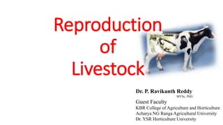 Reproduction
of
Livestock
Dr. P. Ravikanth Reddy
MVSc, PhD
Guest Faculty
KBR College of Agriculture and Horticulture
Acharya NG Ranga Agricultural University
Dr. YSR Horticulture University
 