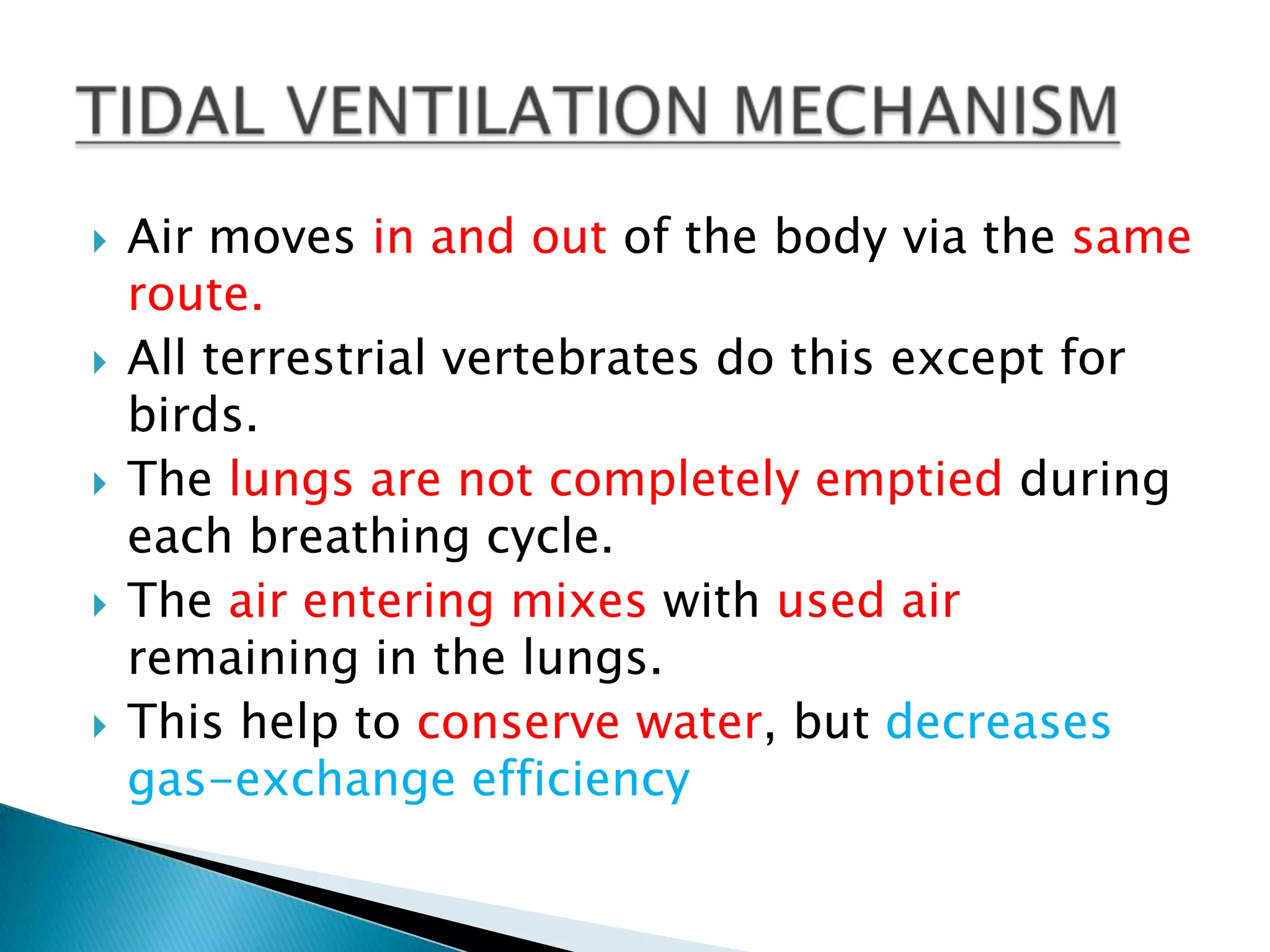    Air moves in and out of the body via the same
    route.
   All terrestrial vertebrates do this except for
    birds.
   The lungs are not completely emptied during
    each breathing cycle.
   The air entering mixes with used air
    remaining in the lungs.
   This help to conserve water, but decreases
    gas-exchange efficiency
 